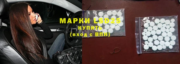 дживик Богородицк