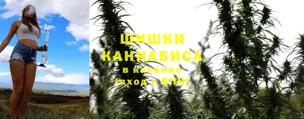 дживик Богородицк