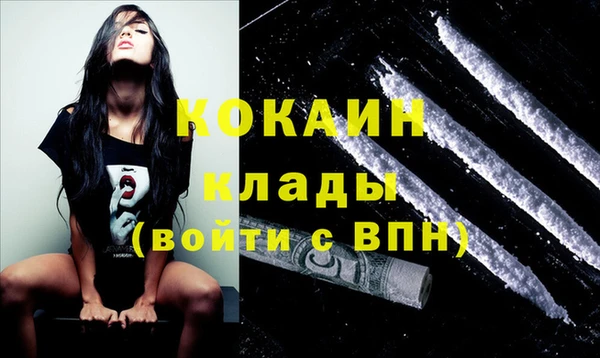 дживик Богородицк