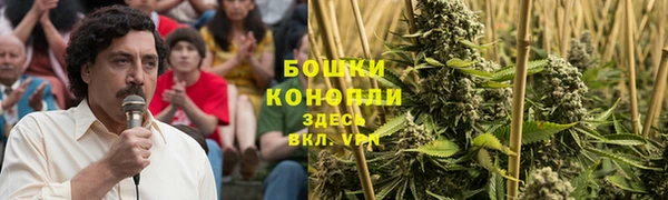 дживик Богородицк