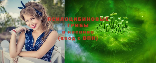 дживик Богородицк