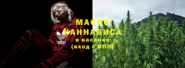 дживик Богородицк