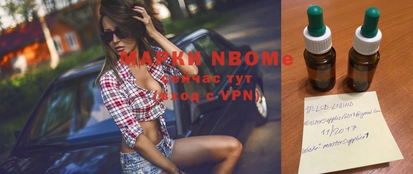 дживик Богородицк