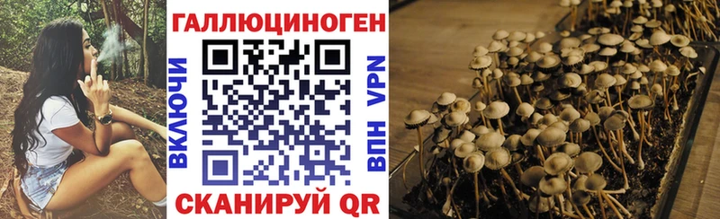 наркошоп  Муравленко  Галлюциногенные грибы Magic Shrooms 